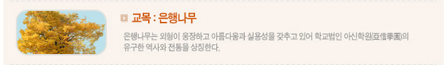 교목 : 은행나무
은행나무는 외형이 웅장하고 아름다움과 실용성을 갖추고 있어 학교법인 아신학원(亞信學園)의 유구한 역사와 전통을 상징한다.
