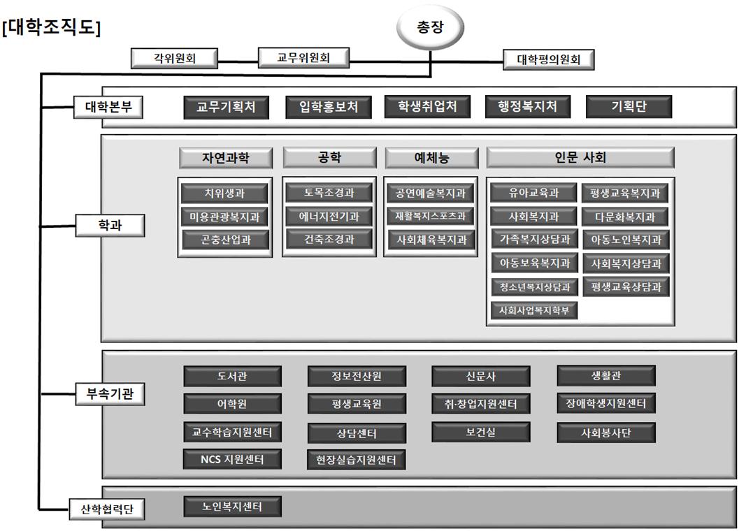 대학조직도